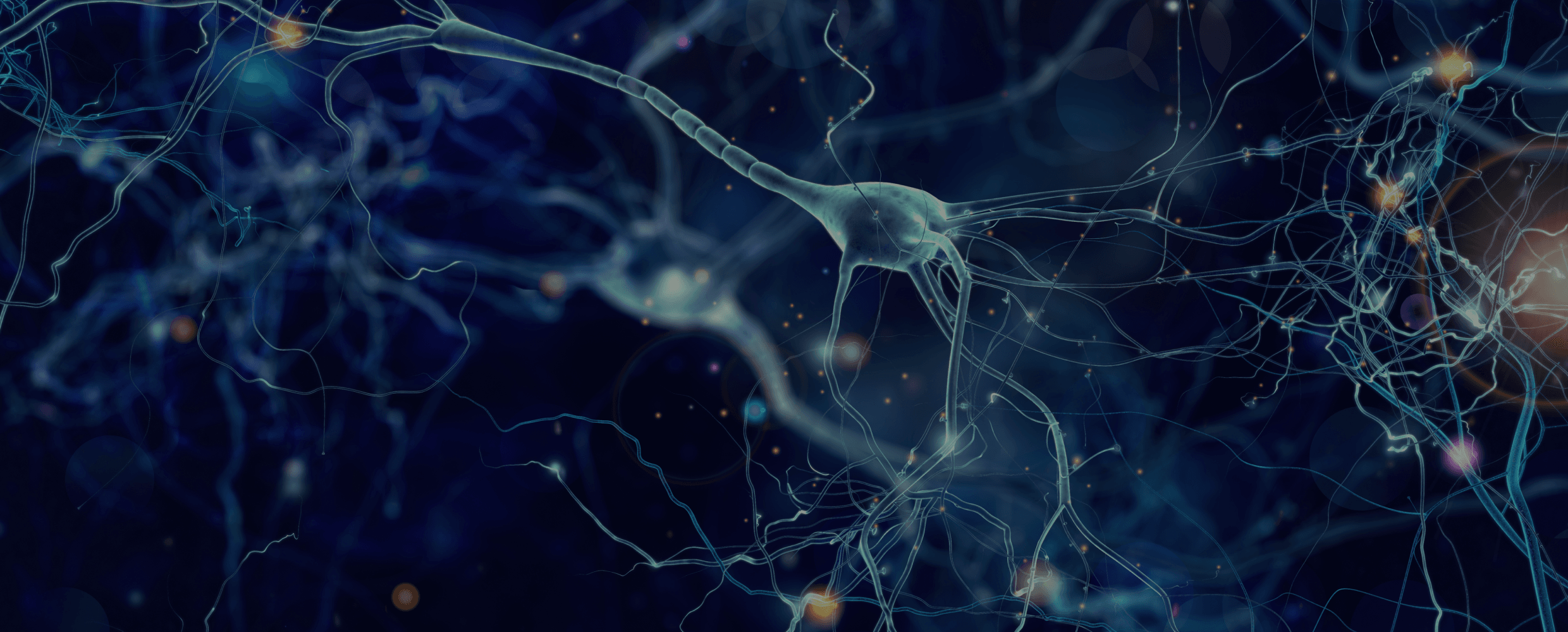 Network of neurons representing BioVie’s neuroscience research